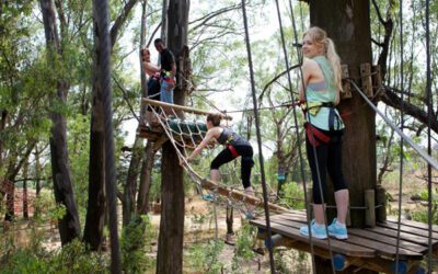 5 Recreational Activities That Promotes Team Building