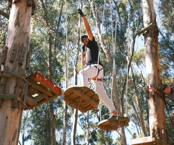 high-flying-course-at-acrobranch-constantia
