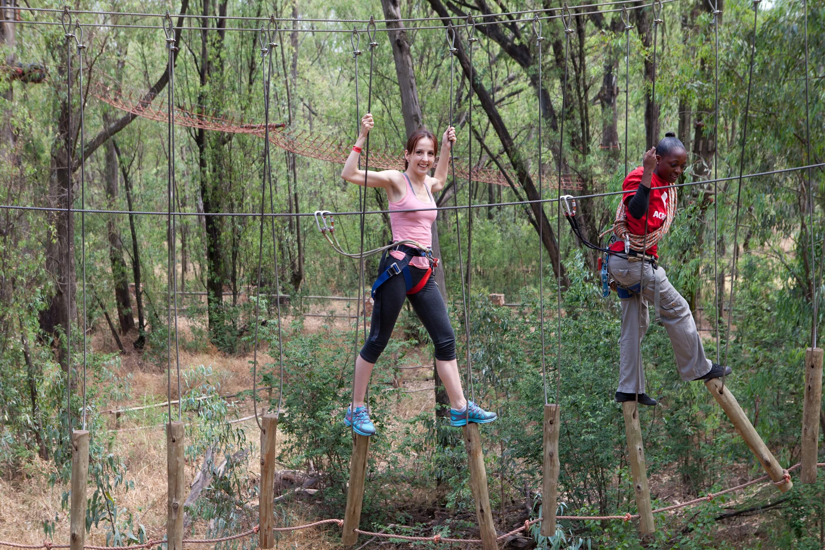 Zip Lines and Outdoor Activity Parks