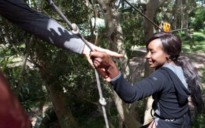 Team-building to remember: Take your Team to the Trees