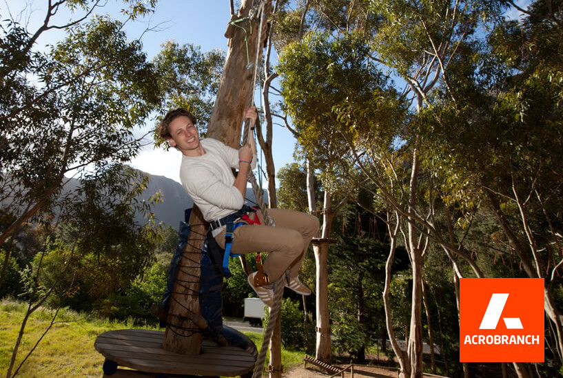Team-Building-zipline