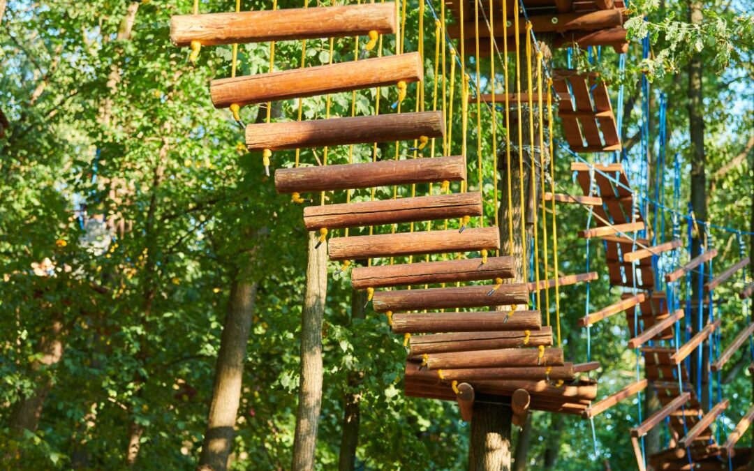 Tree-Top Adventures: Building Confidence and Cognitive Skills in Kids