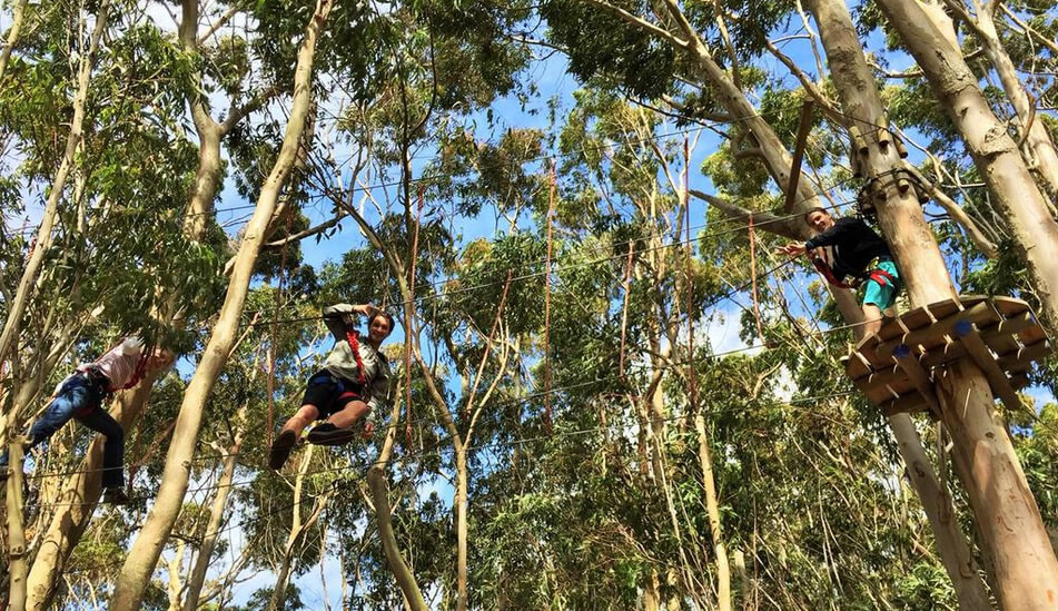 Teambuilding or Ziplining? Here’s how to Tag your Team’s best Pictures !
