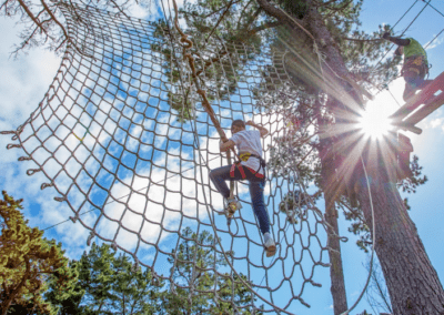 Guy on Tree Top adventure course