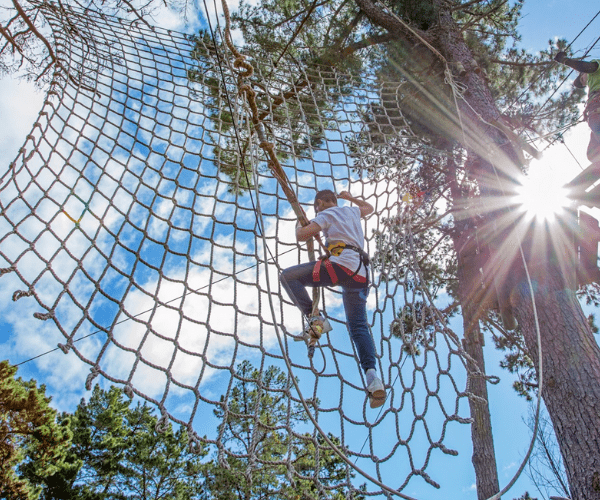Guy on Tree Top adventure course