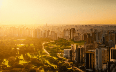 5 Reasons Why Cities Need Green Spaces – According To Experts