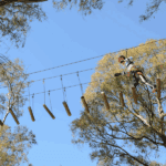 how-to-prepare-for-your-treetop-adventure-at-acrobranch