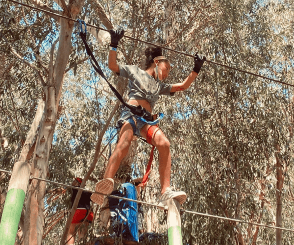 green-combo-course-at-acrobranch-constantia