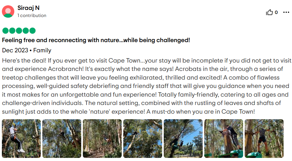 acrobranch-birthday-party